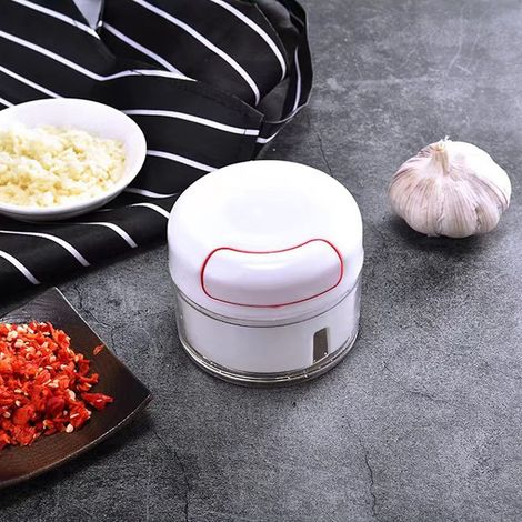 Hachoir à ail, presse-ail en acier inoxydable, ustensile de cuisine, accessoire de cuisine (1/5)