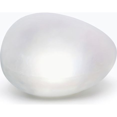 Lampe solaire galet lumiere blanche pour allees et pelouse (1/5)
