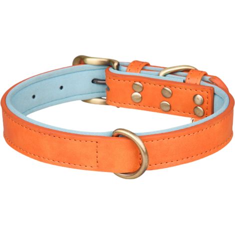 Collier Pour Chien - Cuir PU Motif Crocodile - Plaque D'identification Personnalisable - Pour Chiens Petits À Moyens - 1 Pièce (1/5)