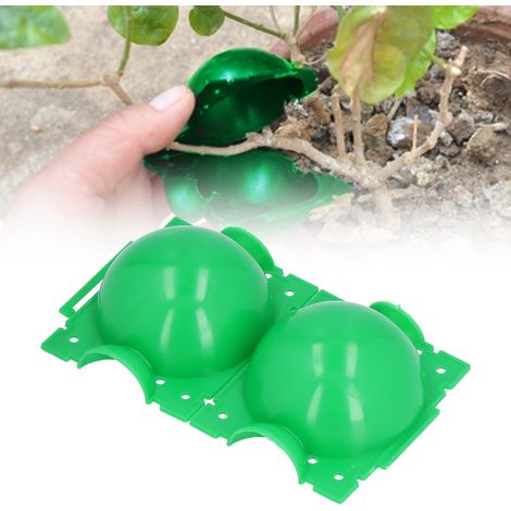10 pièces de 12 cm de boule de propagation de plantes, contrôleur de croissance de racines, dispositif de germination d'enracinement, boîte verte,DUBUNS