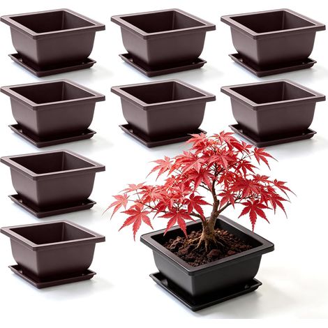 8er-Set Bonsai-Schalen – 13 x 13 x 10 cm – mit Untersetzern – Kunststoff – quadratisch – für Büro, Garten, Wohnzimmer, Balkon, Terrasse und Hof (1/5)