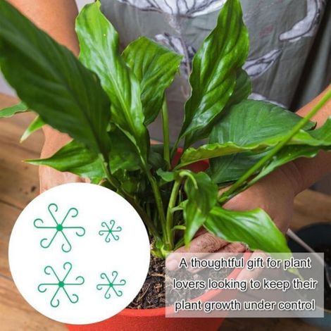 Lot de 4 supports réutilisables pour plantes grimpantes – fixation murale facile, idéal hortensias et plantes vertes (1/4)