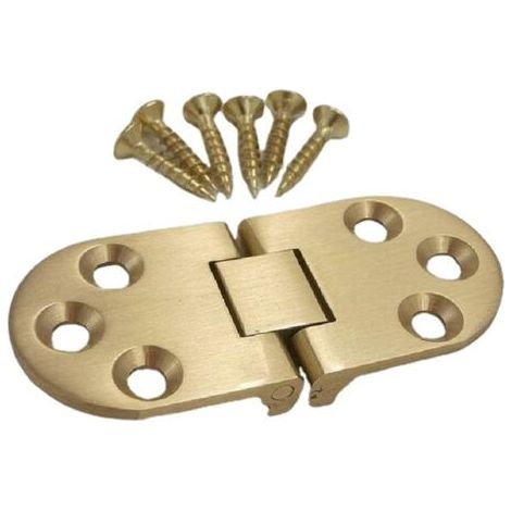 Charnières en Laiton avec Vis pour Table Pliante et Porte de Meuble (1/4)
