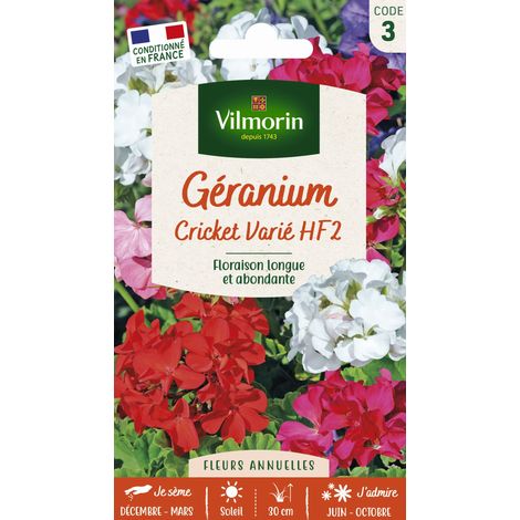 Géranium Cricket varié – Graines de fleurs – Floraison estivale abondante – Semis de mi-décembre à mars – Couleurs variées blanc à rouge – Vilmorin
