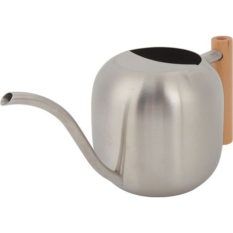 Arrosoir multifonction grande capacité 1200ML avec bec long pour plantes intérieur extérieur argent (1/5)