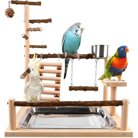 Aire De Jeux pour Oiseaux, Terrain De Jeu pour Perroquet, Support De Jeu pour Oiseaux avec Mangeoire Et Plateau, des oiseauxs Playstand, Aire De Jeus pour Perroquet (45 X 37 X 26 cm) (1/5)