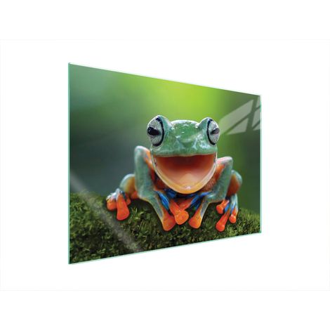 PLAQUE DE PROTECTION EN VERRE POUR POÊLE 70x52 FROG (1/5)