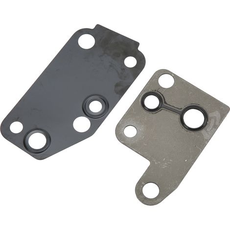 Satz mit 2 Bremsvakuumpumpendichtungen für Ford Transit Bus, wasserdichter Ersatz, kompatibles Teil 4611835 (1/5)