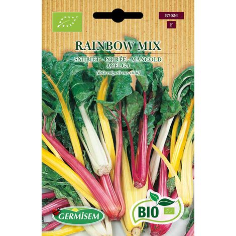 Graines Poirée RAINBOW MIX (1/2)