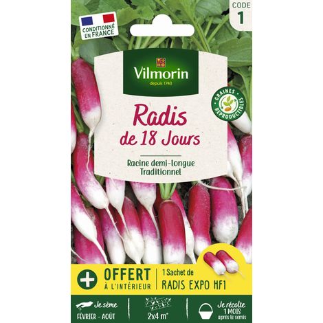 Radis de 18 Jours avec graines de Radis Expo HF1 offertes Vilmorin (1/2)