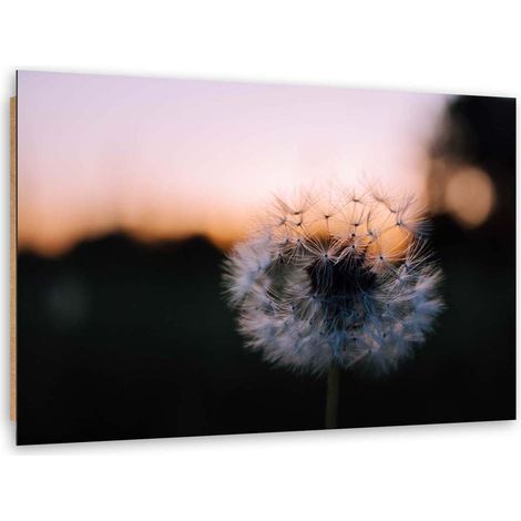 Quadro deco panel, Gonfiatore e tramonto - 60x40 (1/5)