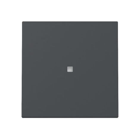 Gira Wippe 329028 Kontrollf.Sys.55 anthr
