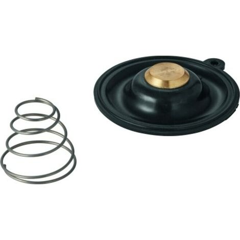 Membrane 43796 für Magnetventil 3/4Zoll-1Zoll Type B (1/2)