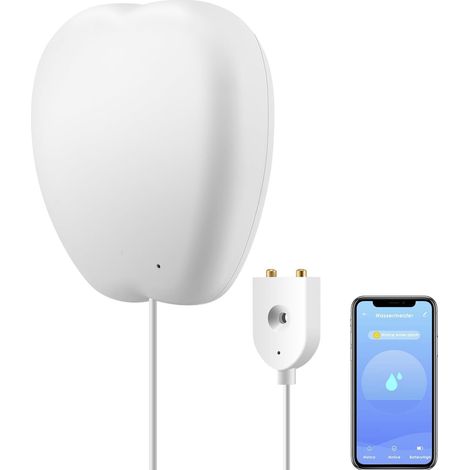 WiFi water leak detector for home, smart water leak sensor, app notification, no hub required, water monitoring for bathroom and kitchen