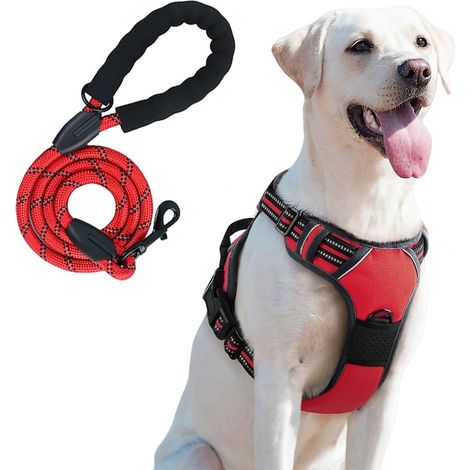 Set pettorina e guinzaglio per cani di taglia media e grande, con strisce riflettenti, pettorina e guinzaglio regolabili 1,5 m x 12 mm, rosso, L (1/5)