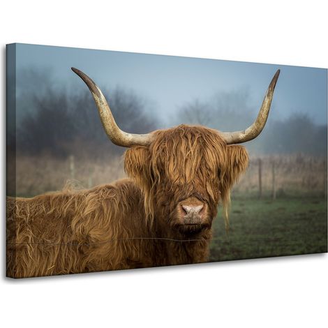 Leinwanddruck Tiere Kuh 100x60 cm