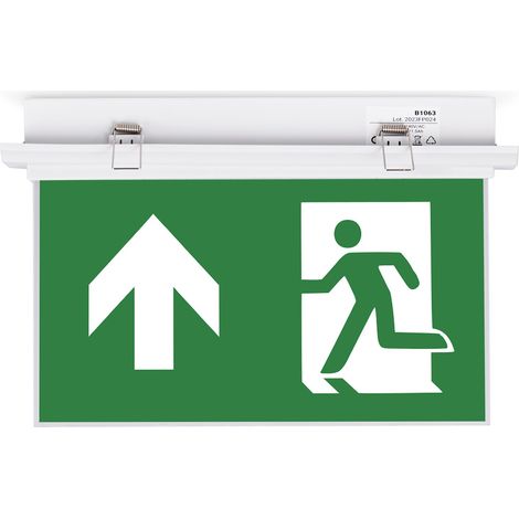 Bloc autonome d'éclairage de sécurité avec pictogramme "SORTIE (1/5)