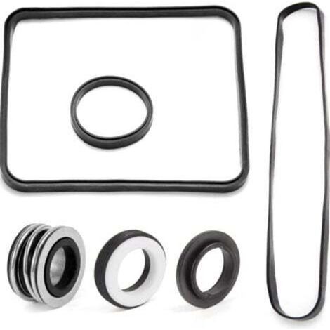 Hayward Super SP2600 1600 2600X Pumpen-O-Ring-Reparatursatz