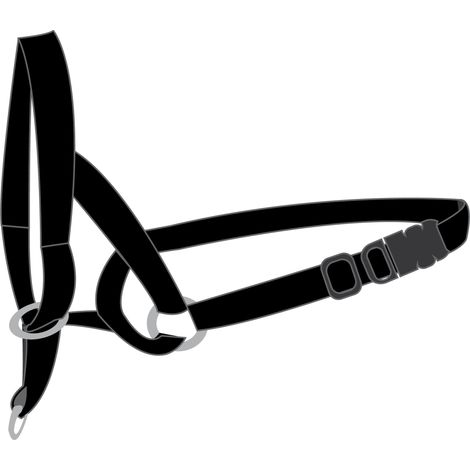 Collier d apprentissage Easy anti traction XS (1/3)