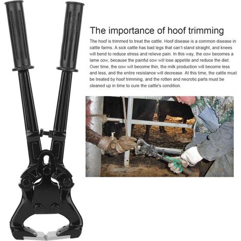 Halter, Stainless Steel Cow Halter, Dairy Cows for Home Use