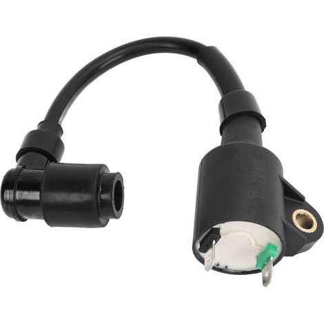 Accensione barca 6A1-85570-00 Bobina scintilla rinforzato fuoribordo 2HP 2 tempi (1/5)
