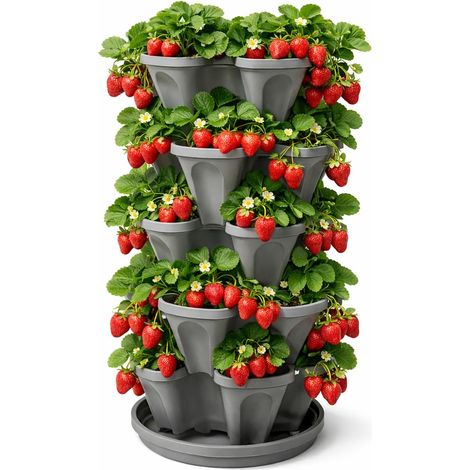 Jardin de Fraises empilable à 5 Niveaux – Jardinière empilable intérieur/extérieur de 24 litres avec Soucoupe Goutte à Goutte – Cultivez des Herbes, des Fraises et des Fleurs dans la Cuisine ou Le (1/5)
