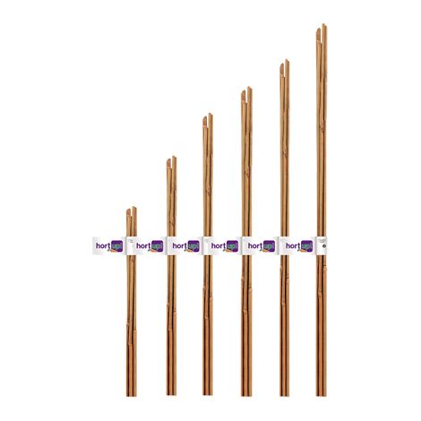Blumenkarten-Up-Tutor Bambbes Natural, 10-12 mm, 1,20 m, Pack 3 Einheiten