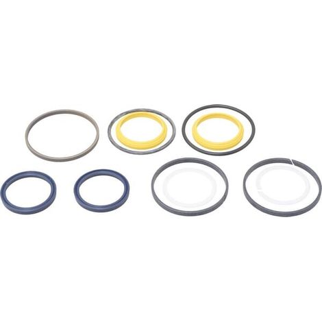 Cilindro de direcci贸n'kit de juntas CARRARO CI049117