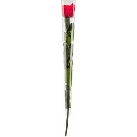 Rose en tige stabilisée Coloris rouge