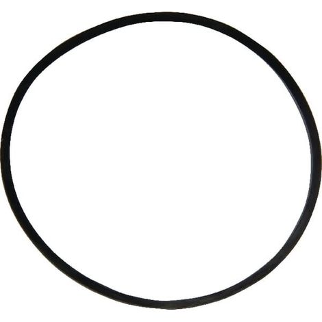 Guarnizione serbatoio carburat BRIGGS ET STRATTON 797625