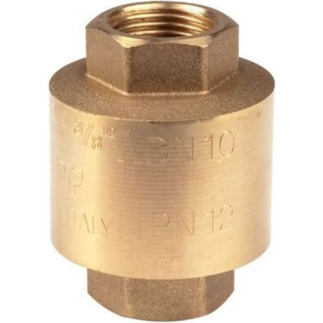 Clapet anti-retour 3/4’’ FF (1/2)