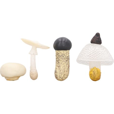 Ensemble de 4 champignons miniatures, figurines de champignons très détaillées, décoration à des fins éducatives, type 3. (1/5)