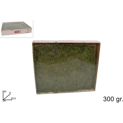 SCATOLA DI MUSCHIO 300 GR