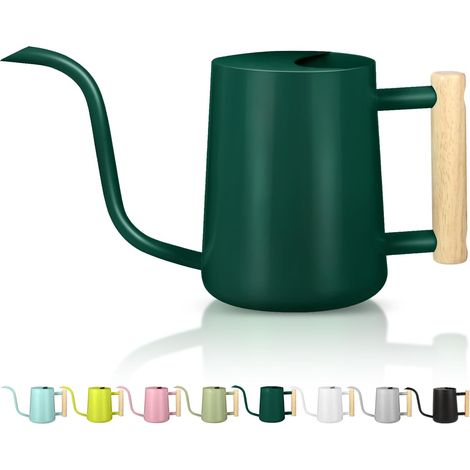 Arrosoir pour plantes d'intérieur - 1 l - Petit arrosoir d'intérieur en métal et acier inoxydable - Arrosoir décoratif moderne avec long bec pour maison, bonsaï, extérieur, jardin - Vert alpin (1/5)