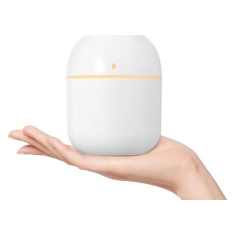 Humidificateur portable compact, humidificateur de bureau personnel USB pour voiture, bureau, chambre, arrêt automatique, (220 ml, blanc) (1/5)