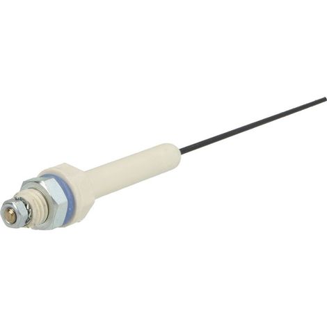 Anode à courant imposé 260 mm