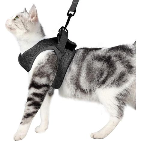 Comfortable and Breathable Anti Escape Velcro Powerful Adjustable Pet Accessories Cat Harness(M) (1/5)
