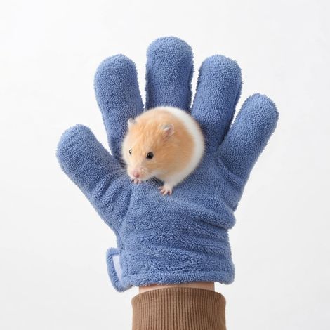 Gant de protection pour petits animaux (1/5)