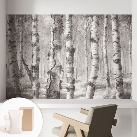Papier peint intissé classique moderne pour salon et chambre à coucher Décoration rapide avec colle Forêt de bouleaux 104x70 cm (1/5)