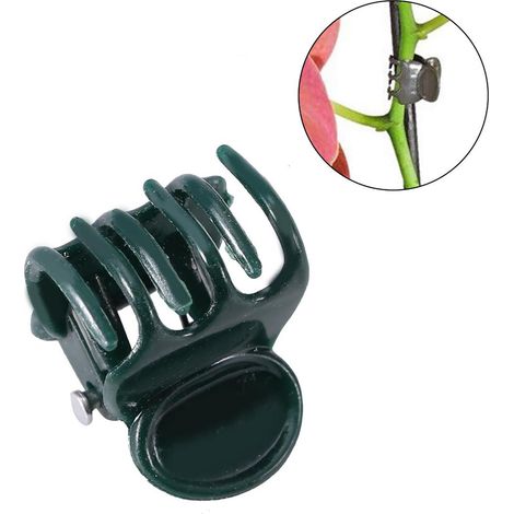 Lot de 100 mini tiges en plastique pour jardin de fleurs, clips pour tiges, pour faire pousser des orchidées verticales (1/4)