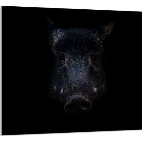 Panneau de verre POUR la cuisine 65x60 Sanglier (1/5)