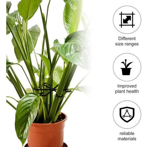 Support Tige Plante - Plastique Réutilisable - Pour Plantes Grimpantes Intérieures et Extérieures - 4 Pièces - Noir (1/5)