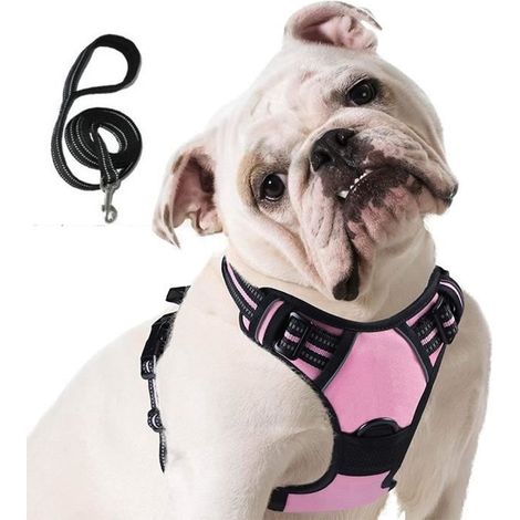Harnais Chien M, Harnais Anti Traction pour Chien, Facile à Mettre, avec Poignée Contrôle, Livré avec une corde de 1,5 (1/4)