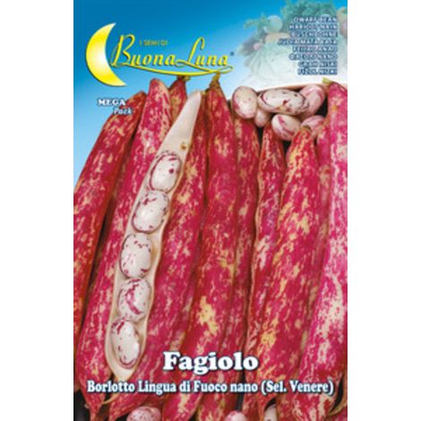 5PZ SEMI ORTO FAGIOLI NANI BORLOTTI (1/2)