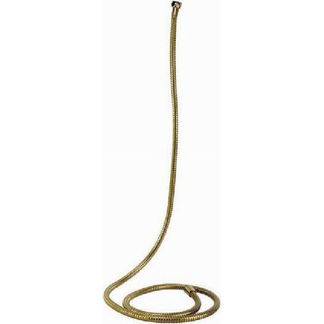 Tub Laccio Flessible Doccetta Vasca Bagno 2 Mt Universale 59536 Dorato (1/2)