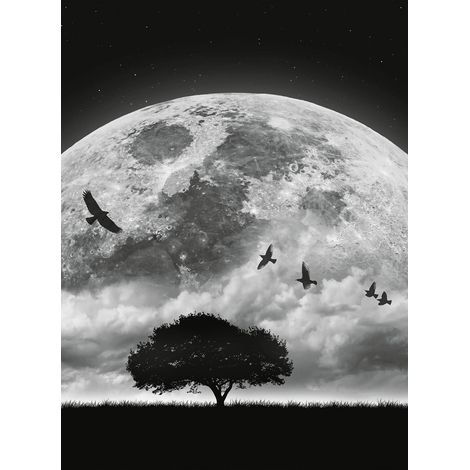 Papier peint panoramique chambre lune noir & blanc | Tapisserie panoramique arbre dans la nuit | Papier peint panoramique original salon - 192 X 260 cm (4 pièces) (1/2)