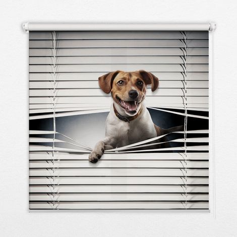 Innenrollo Fensterrollo - Rollo ohne Bohren - Sichtschutzrollo - Lichtdurchlässiges Rollo - Rechteckiges - Rollo - (130 cm x 140 cm) - Hund