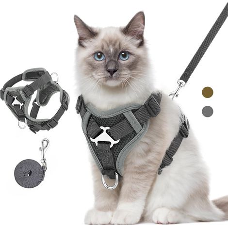 Ensemble Harnais et Laisse pour Chats,Chatons,Chiots,Marche (1/5)