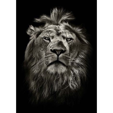 Tableau animaux noir & blanc pour déco salon | Tableau moderne tête de lion pour chambre ado | Tableau sur toile pour bureau - 0,5 x 0,7 m (1/2)