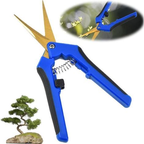 Professional Garden Bypass Secateurs - Stainless Steel, Ergonomic with Shock-Absorbing Spring